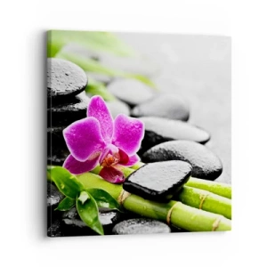 Obraz na plátně - V klidné rovnováze - 30x30 cm