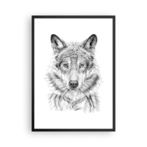 Plakát v černém rámu - Detailní kresba vlka v černobílém stylu - 50x70cm - Rozený vůdce - Moderní nástěnná dekorace do obývacího pokoje a ložnice ARTTOR