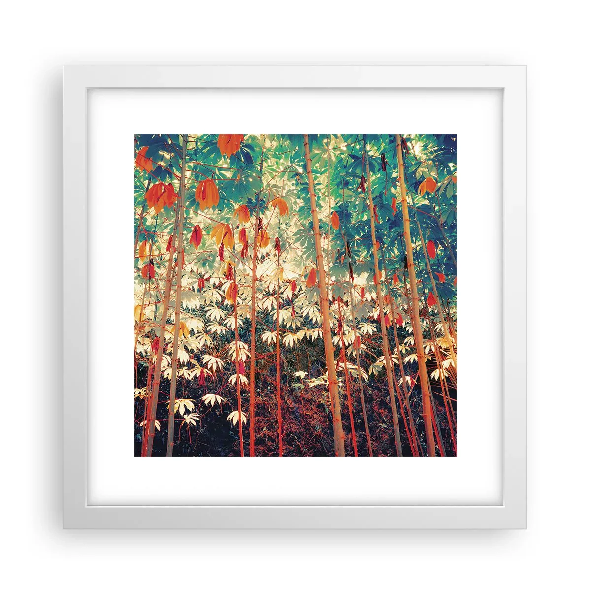 Plakát v bílém rámu - Tajný život listů - 30x30 cm