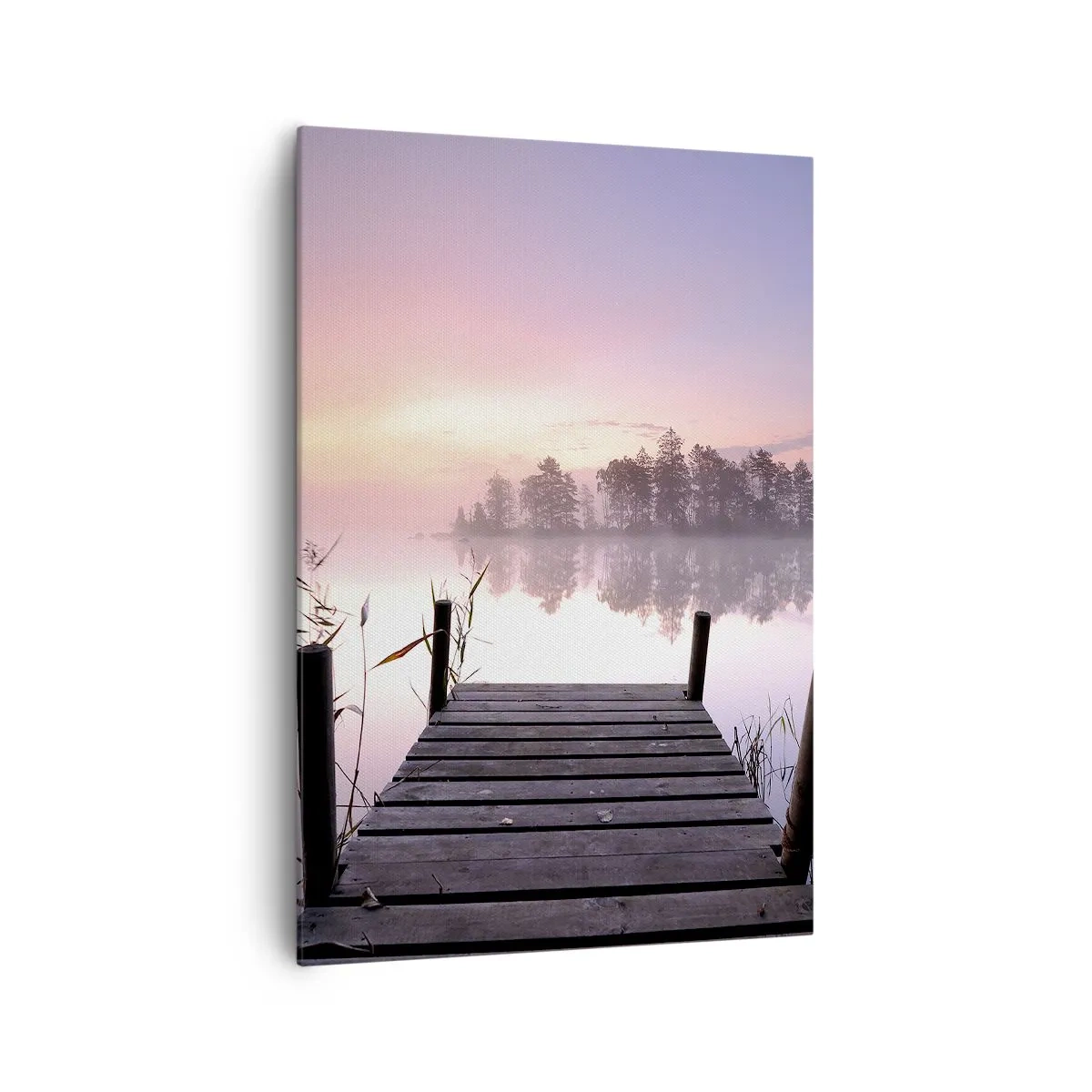 Obraz na plátně - Z liliové mlhy… - 70x100 cm