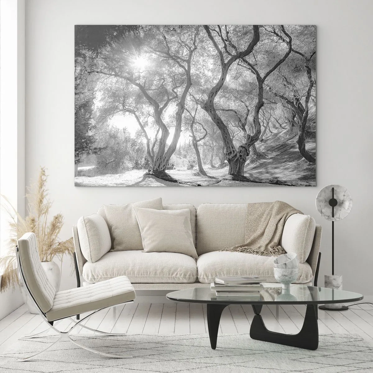 Obraz na skle - Černé a bílé olivovníky na slunci - 70x50cm - V olivovém háji - Moderní nástěnná dekorace do obývacího pokoje a ložnice ARTTOR