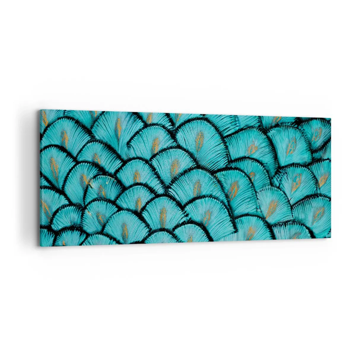 Obraz na plátně - Velká slavnost peří - 120x50 cm