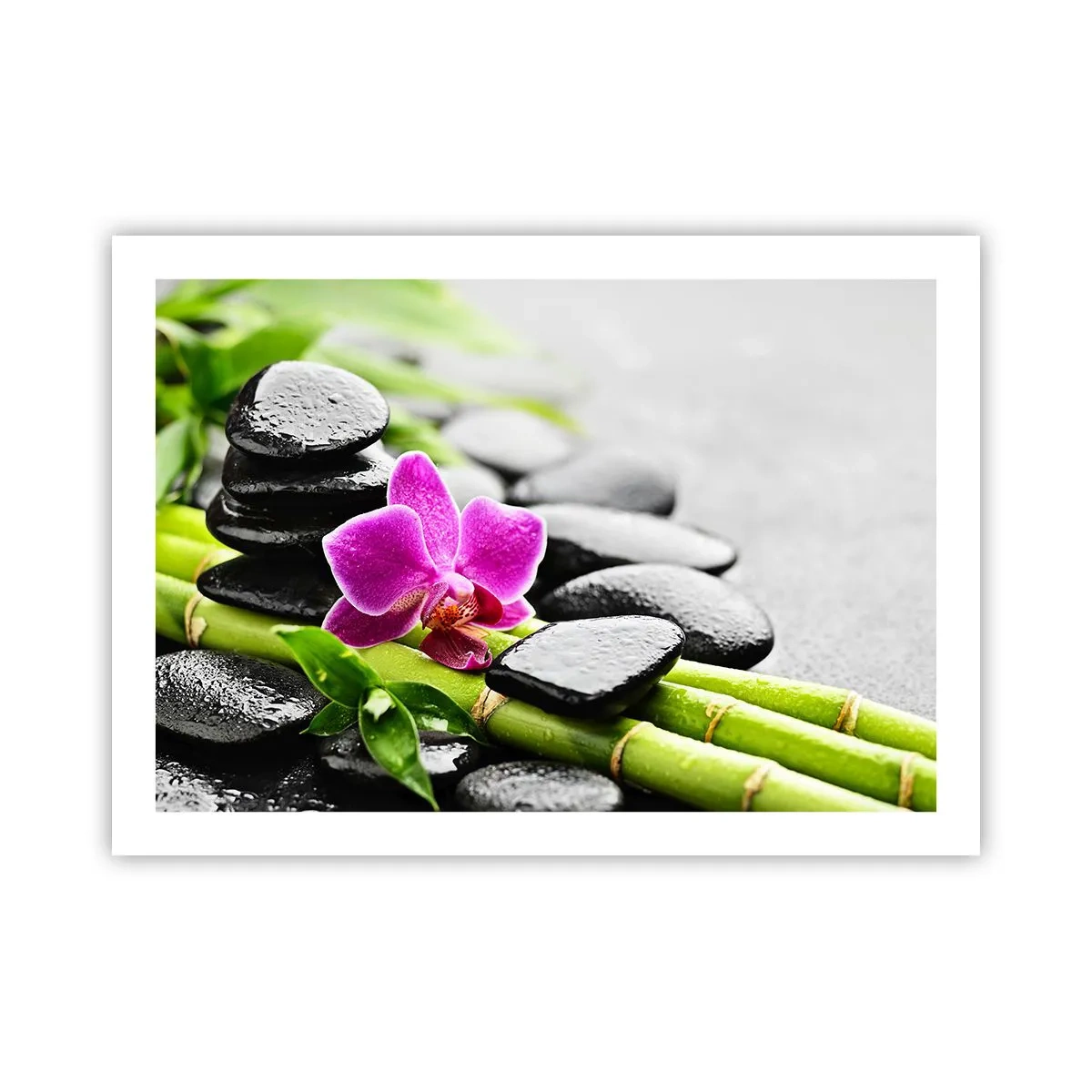 Plakát - V klidné rovnováze - 70x50 cm