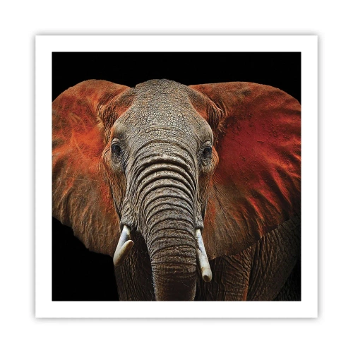 Plakát - Jsem divoký, a ty? - 60x60 cm