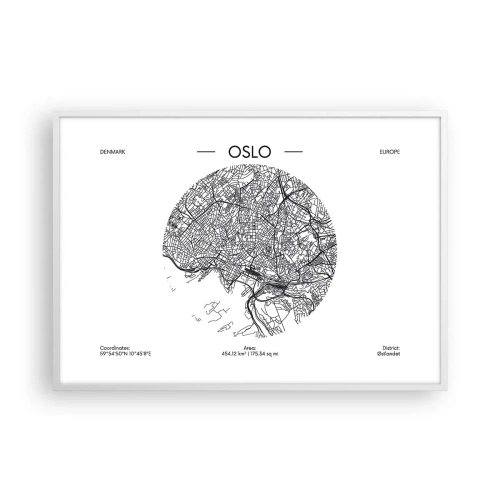 Plakát v bílém rámu - Anatomie Osla - 100x70 cm