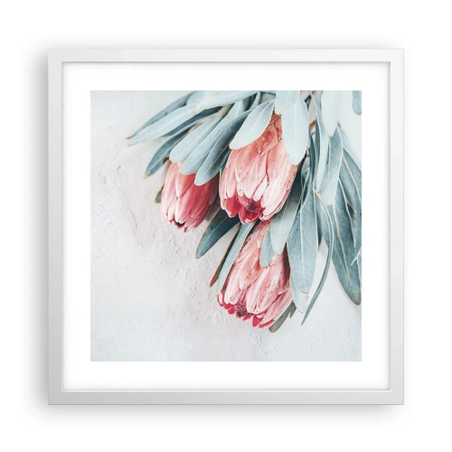 Plakát v bílém rámu - Zahanbené svou vlastní krásou - 40x40 cm