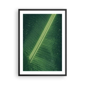 Plakát v černém rámu - Detail zeleného listu s kapkami vody - 50x70cm - Struktura zelené - Moderní nástěnná dekorace do obývacího pokoje a ložnice ARTTOR