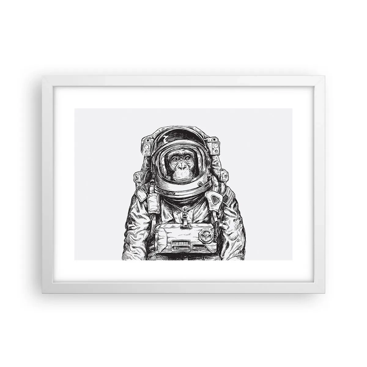 Plakát v bílém rámu - Alternativní vývoj - 40x30 cm