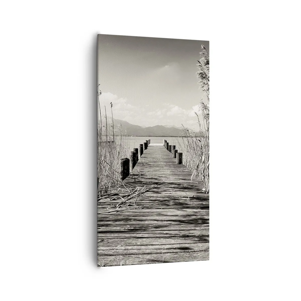 Obraz na plátně - V ústraní travin - 65x120 cm