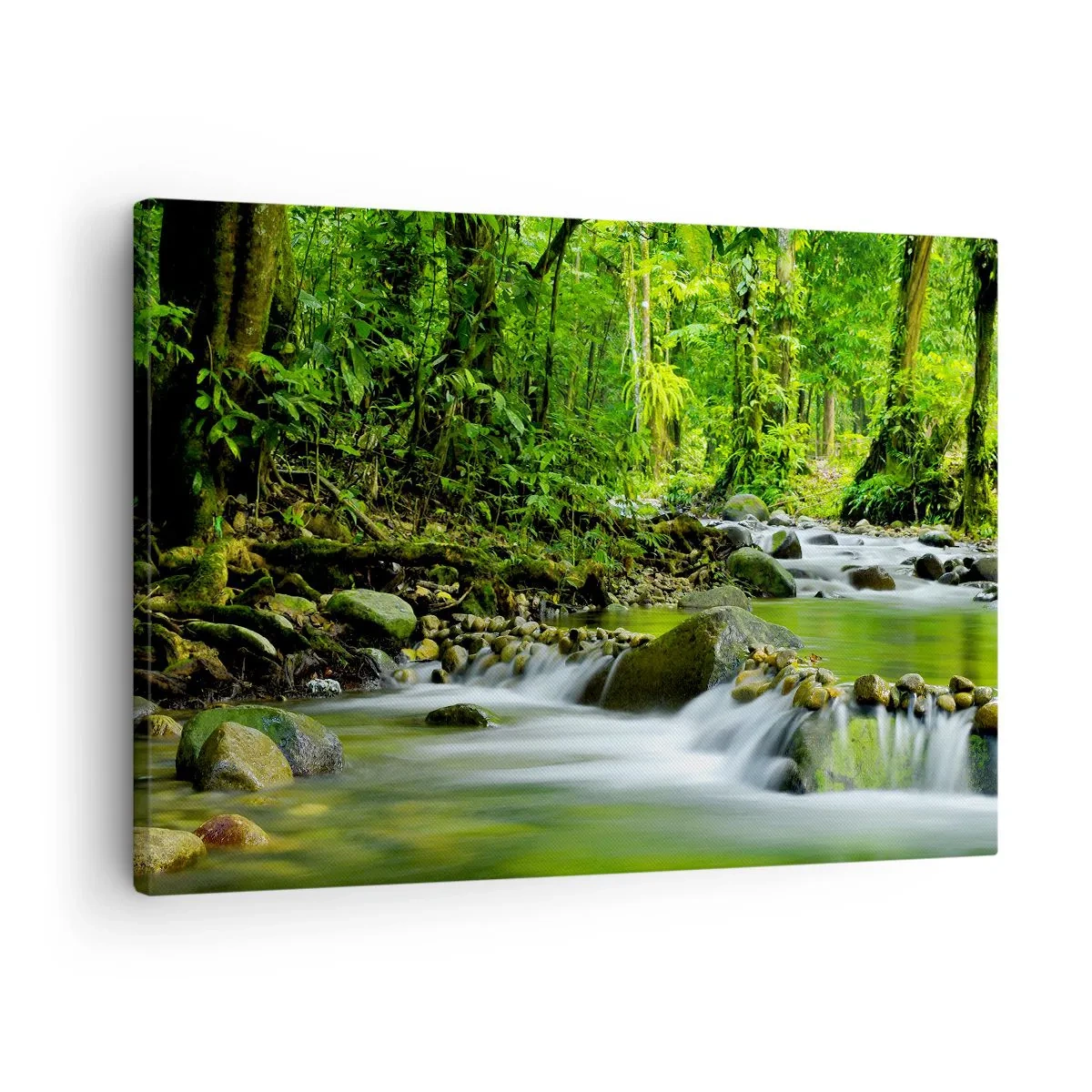 Obraz na plátně - Potok v bujném tropickém lese - 70x50cm - Plout mořem zeleně - Moderní nástěnná dekorace do obývacího pokoje a ložnice ARTTOR