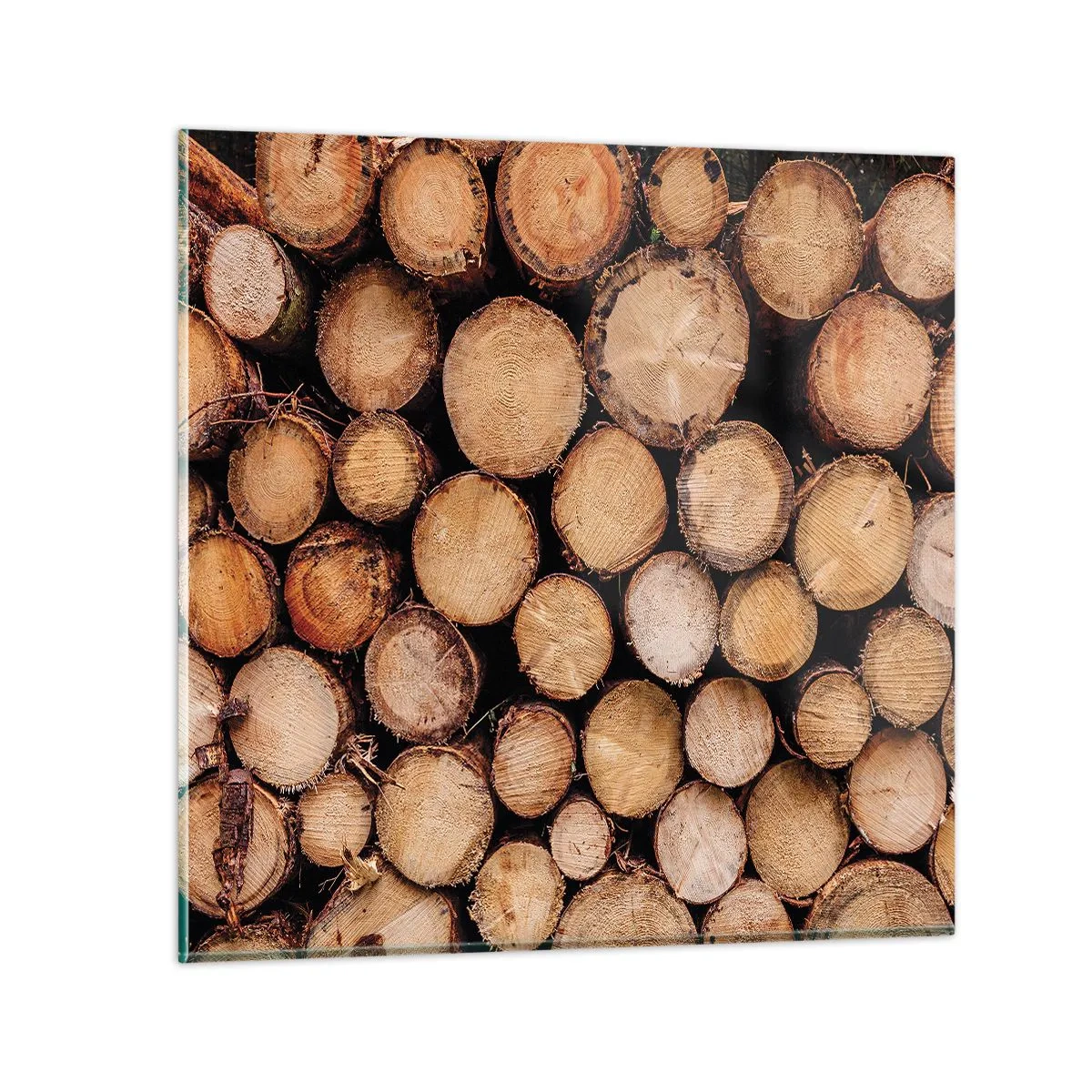 Obraz na skle - Nový začátek - 70x70 cm