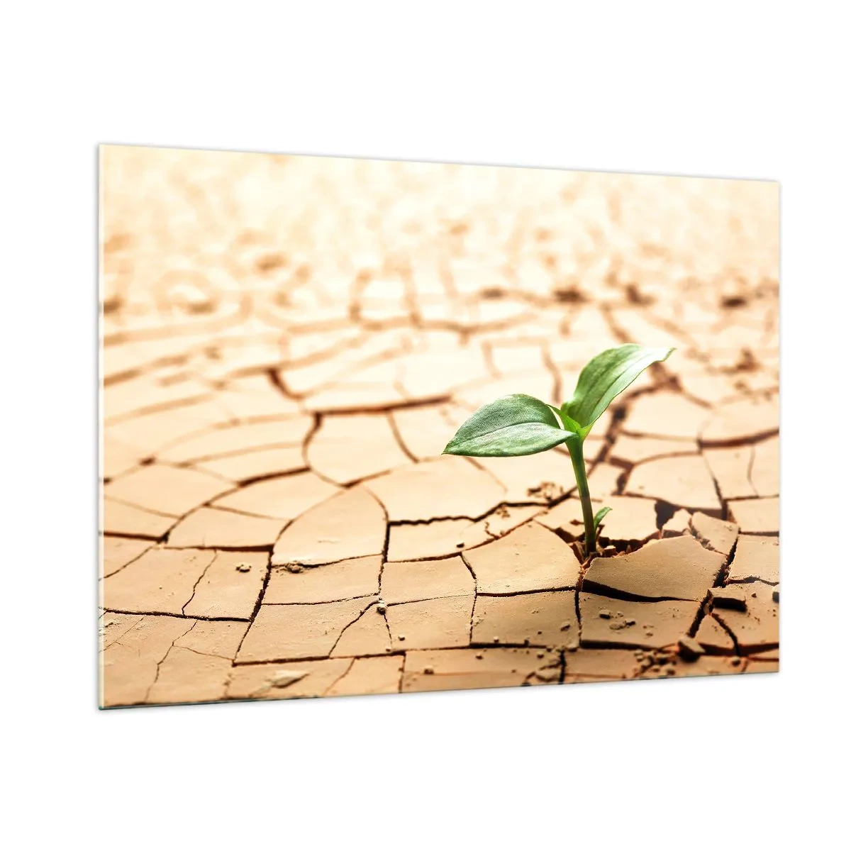 Obraz na skle - Nespoutaná síla života - 100x70 cm