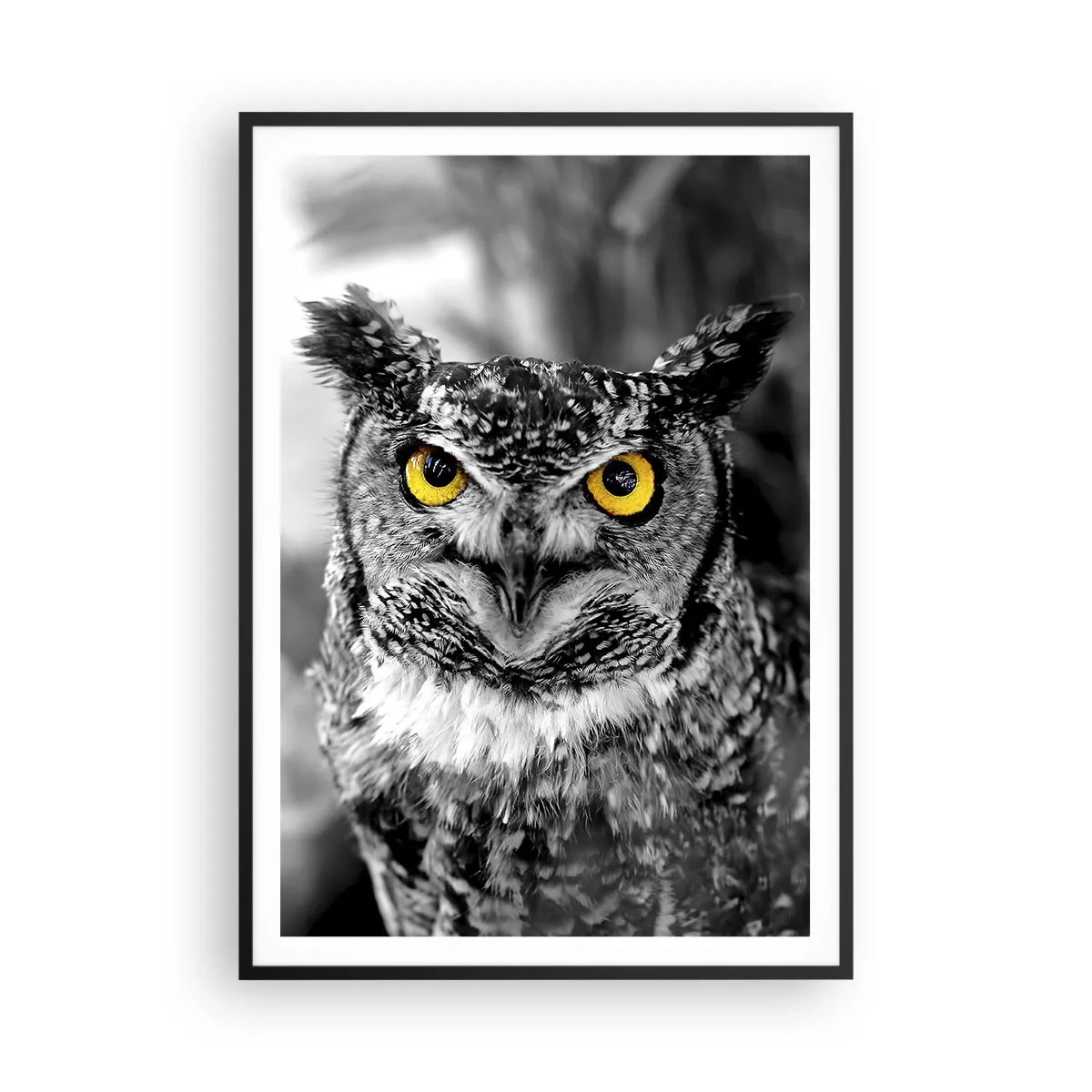 Plakát v černém rámu - Nic se neschová - 70x100 cm