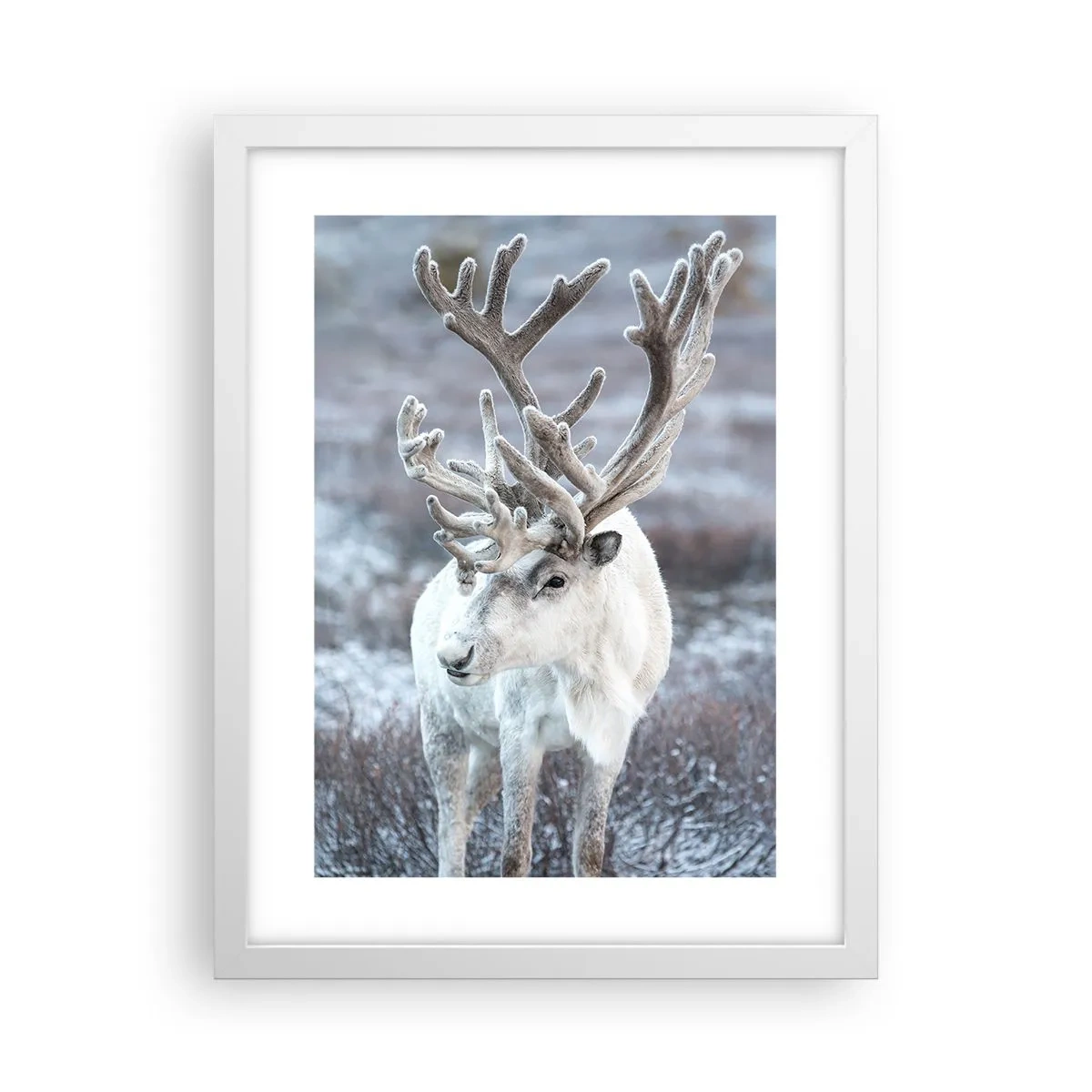 Plakát v bílém rámu - Sluneční portrét - 30x40 cm