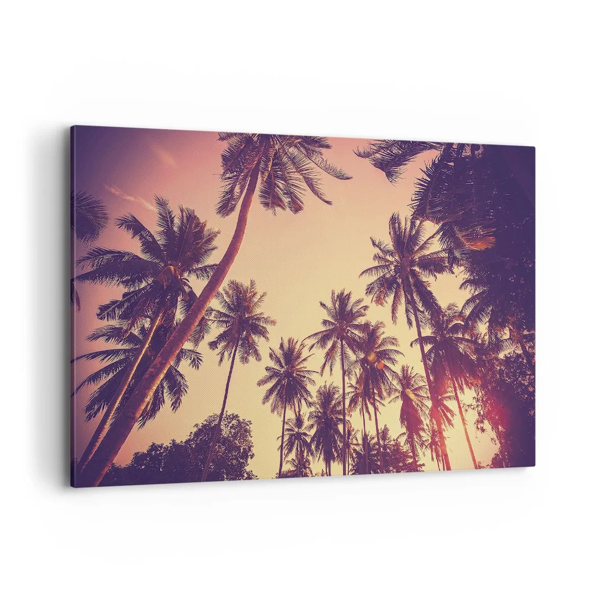 Obraz na plátně - Tropická variace - 120x80 cm