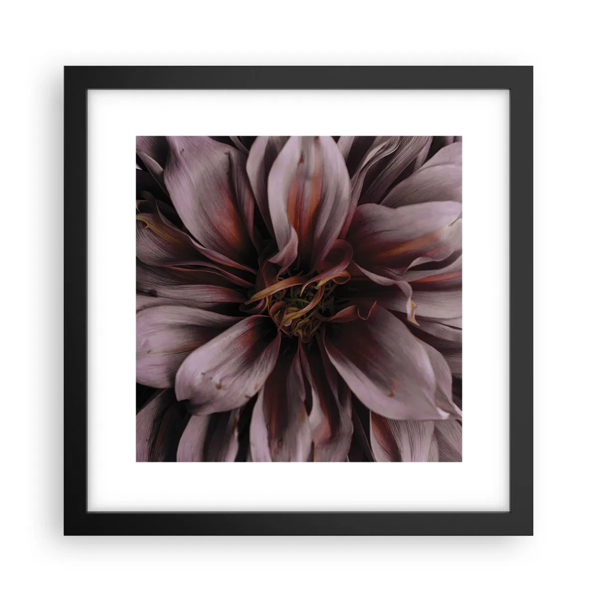 Plakát v černém rámu - Květinové srdce - 30x30 cm