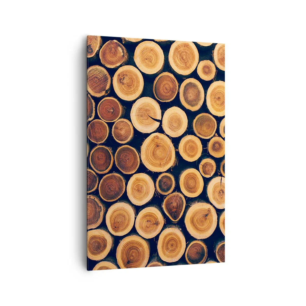 Obraz na plátně - Na kolik vypadám? - 80x120 cm