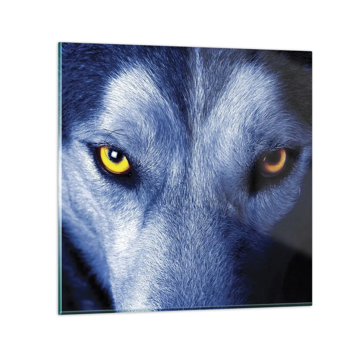 Obraz na skle - Fascinující pohled - 70x70 cm