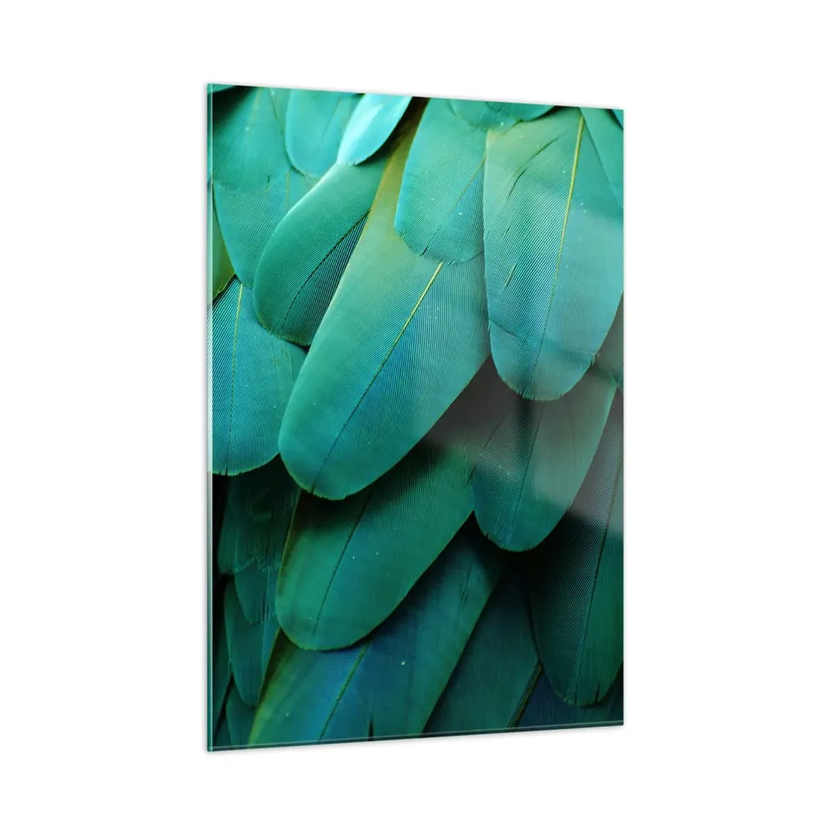 Obraz na skle - Přesnost papouščí povahy - 50x70 cm