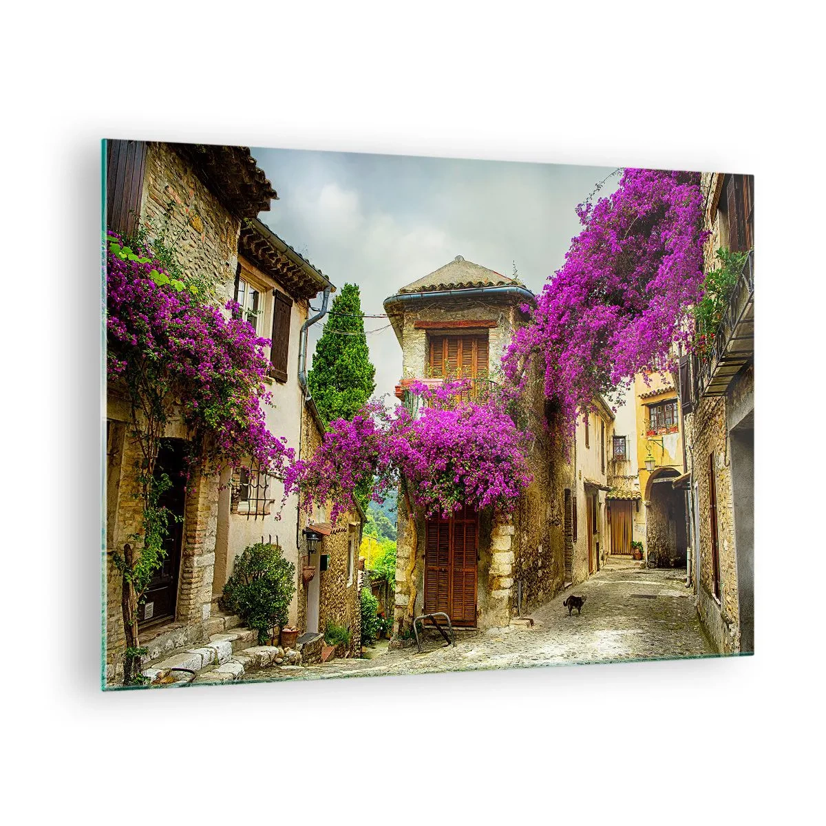 Obraz na skle - Okouzlující ulice s kvetoucími růžovými vinicemi a činžovními domy - 70x50cm - Pod květinovým baldachýnem - Moderní nástěnná dekorace do obývacího pokoje a ložnice ARTTOR