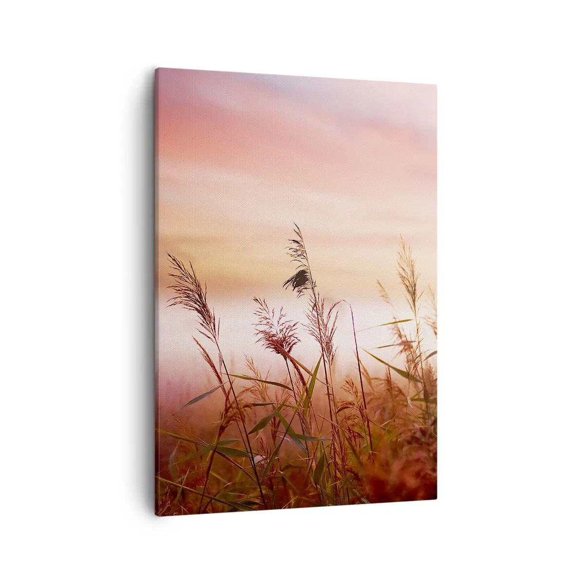 Obraz na plátně - Draci, pampelišky a vítr - 50x70 cm