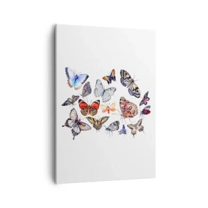 Obraz na plátně - Krajkový, barevný roj - 50x70 cm