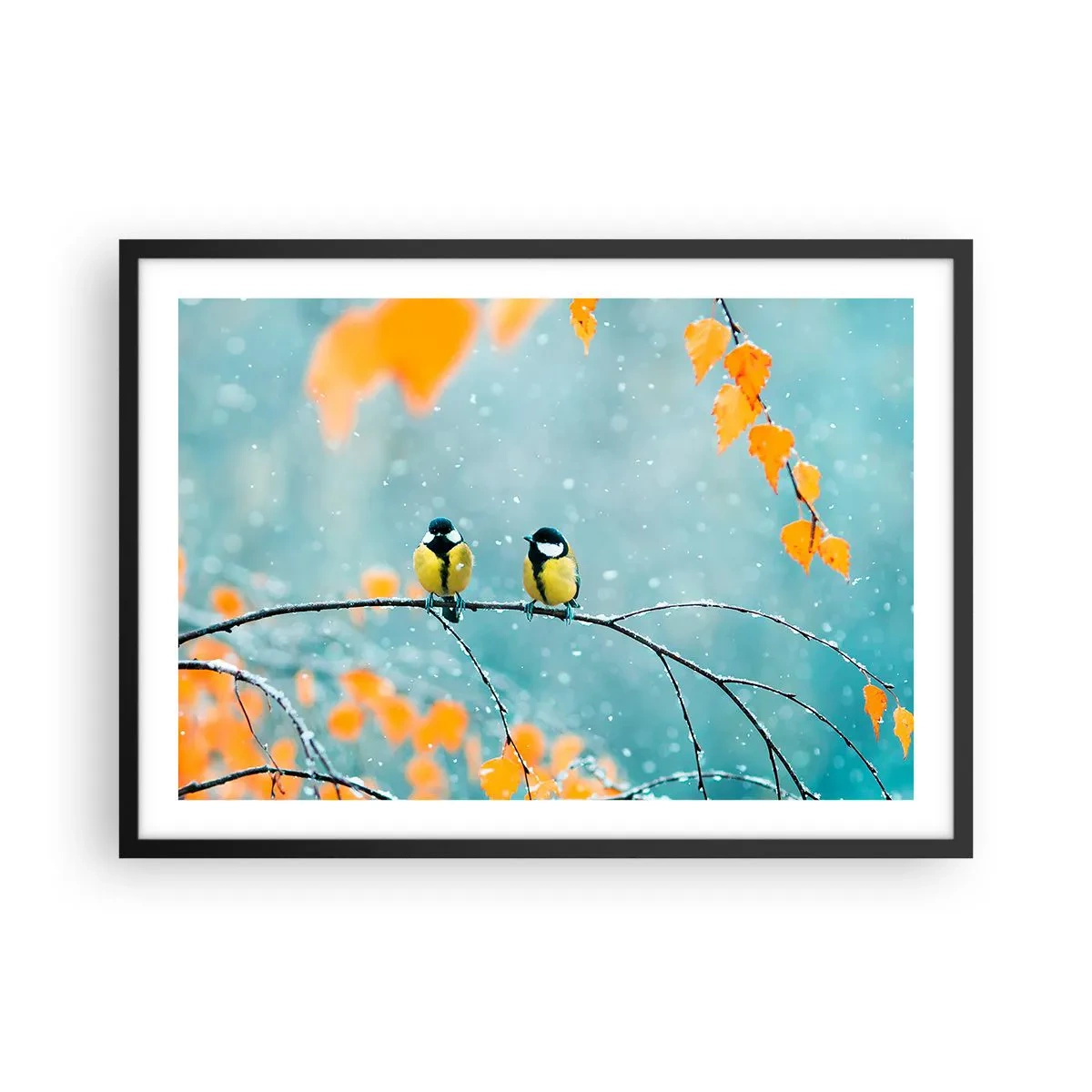 Plakát v černém rámu - Ptačí drby - 70x50 cm