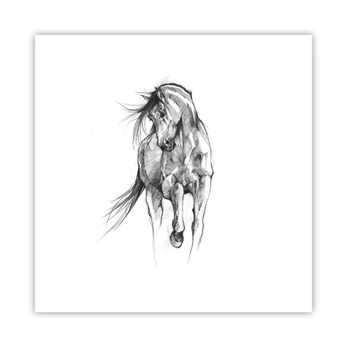 Plakát - V ladném klusu - 30x30 cm