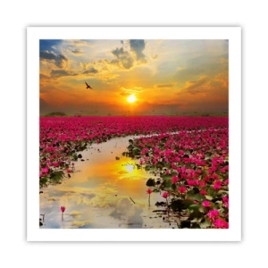 Plakát - Tajemný život jezera - 60x60 cm