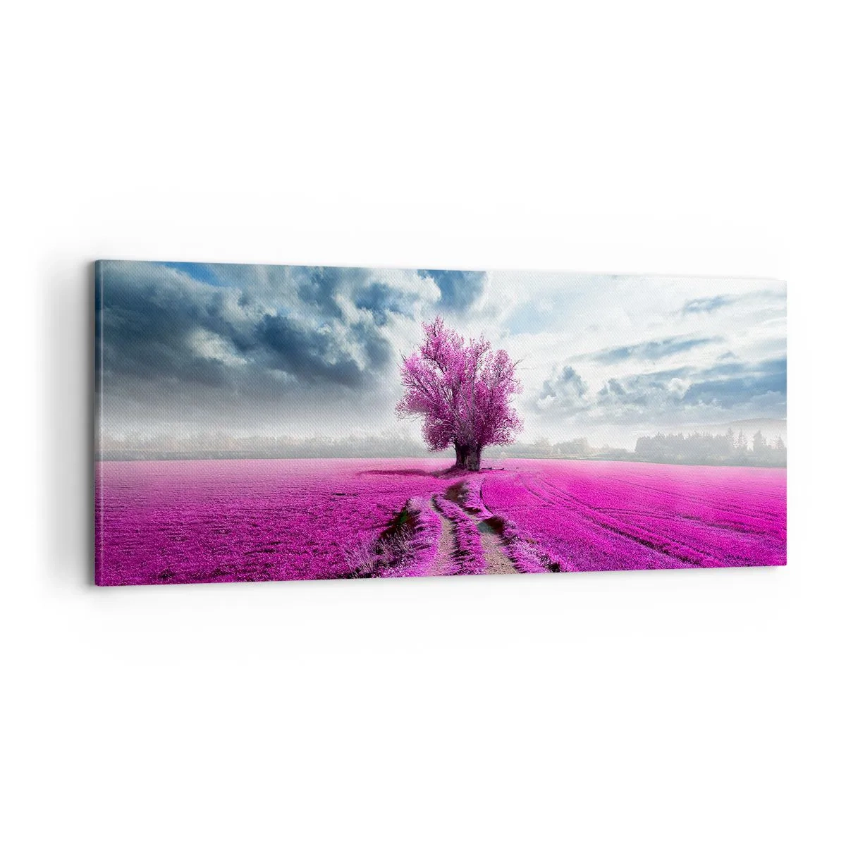 Obraz na plátně - Vřesoviště - divočina - 100x40 cm