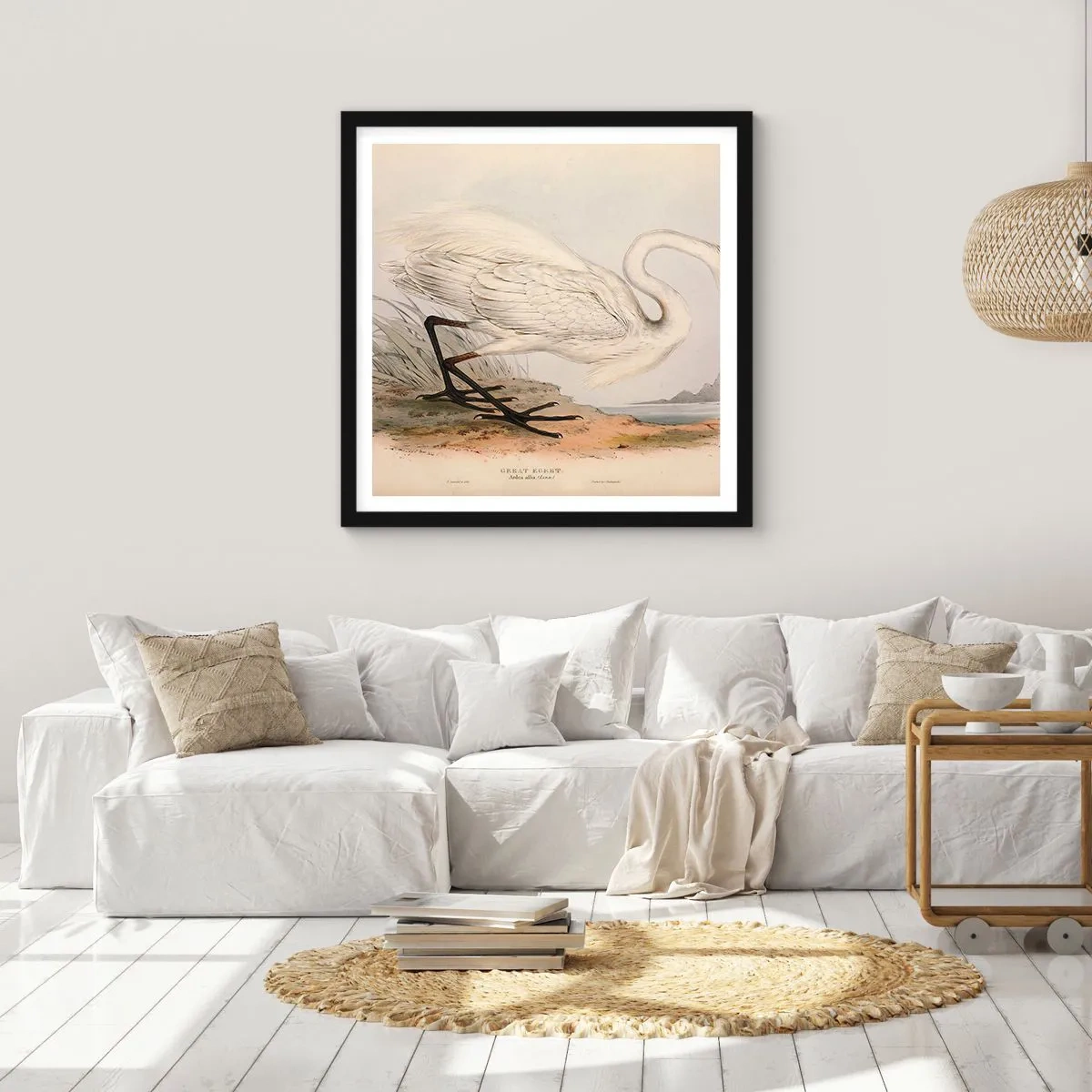 Plakát v černém rámu - Paní rákosin - 40x40 cm