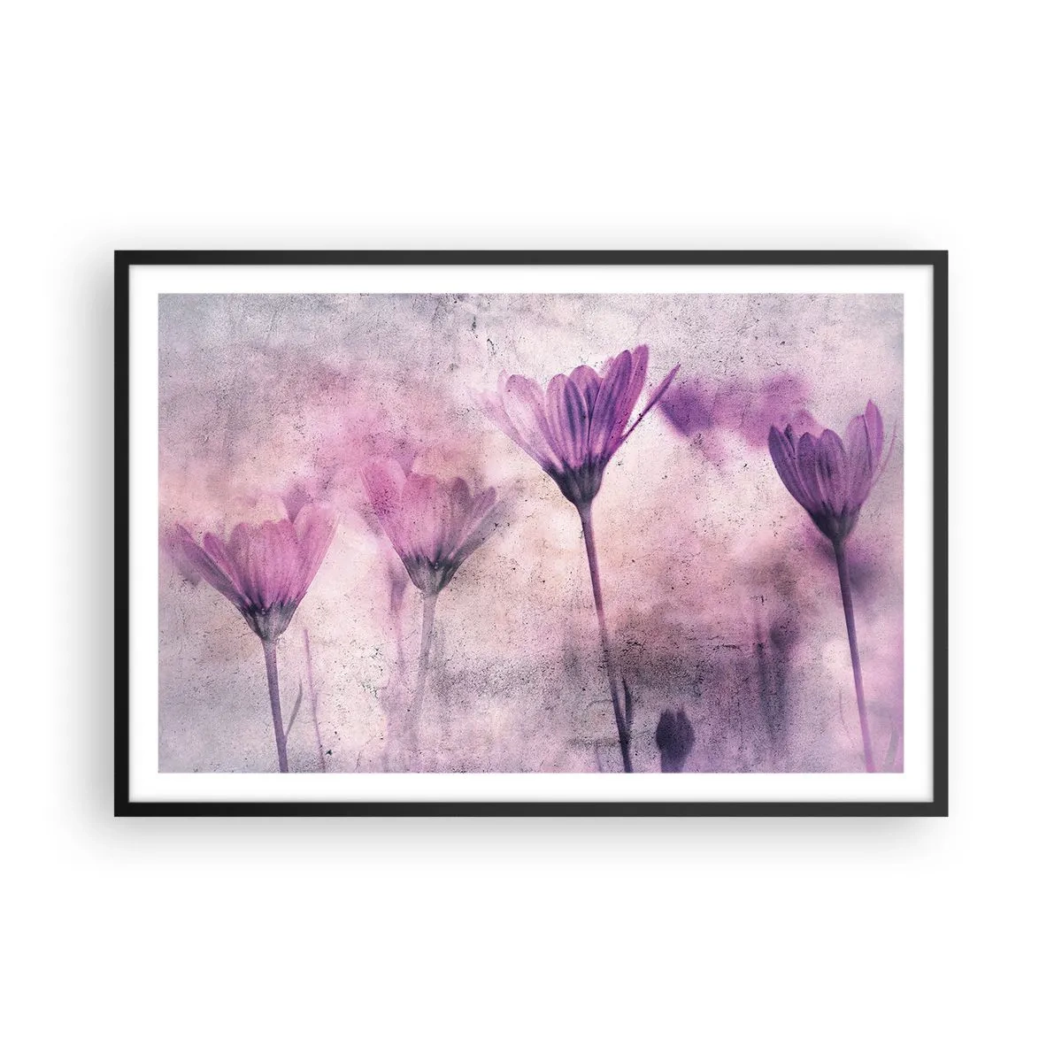 Plakát v černém rámu - Sen květin - 91x61 cm
