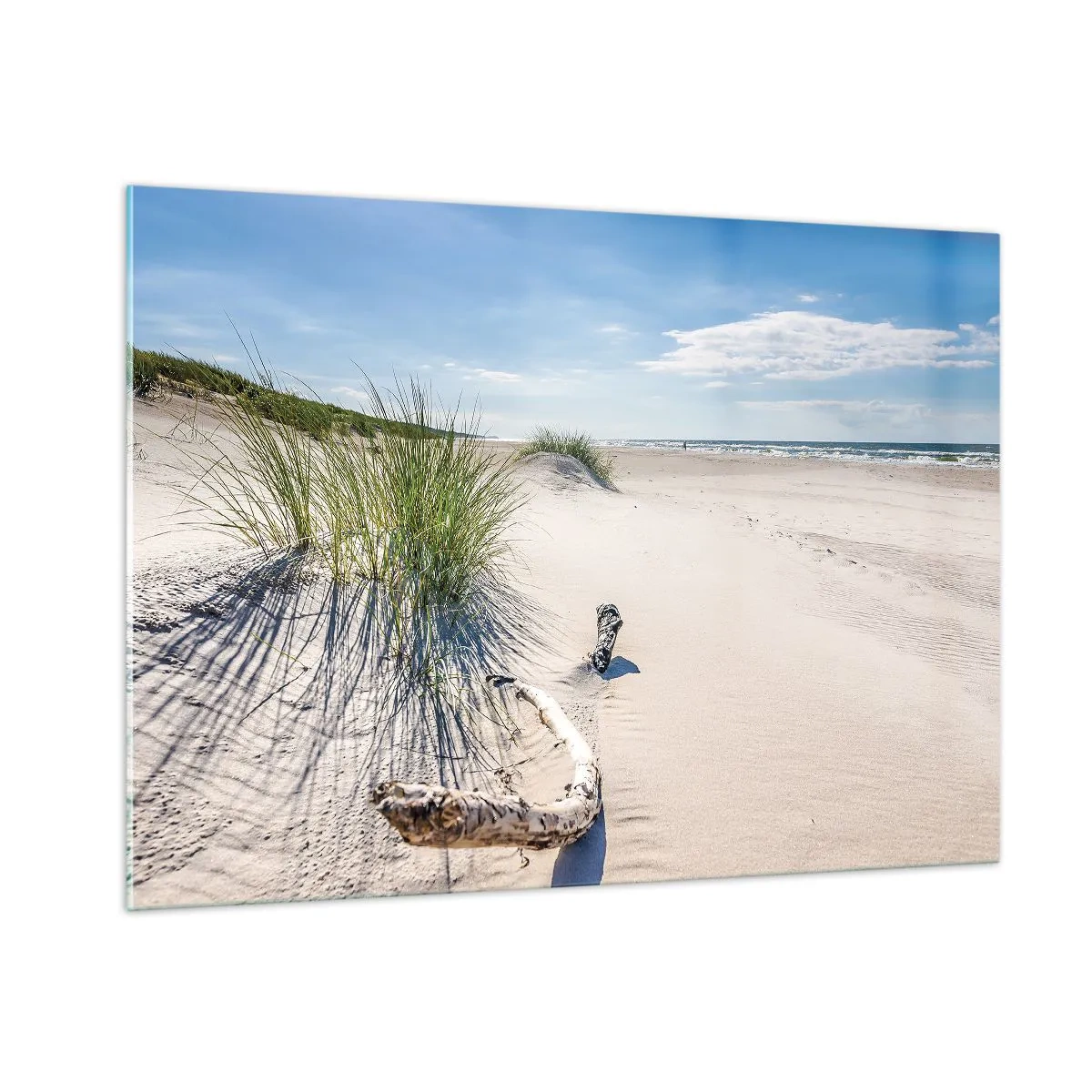 Obraz na skle - Nejkrásnější? Baltská - 100x70 cm