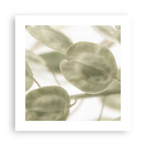 Plakát - Na začátku bylo listí… - 40x40 cm