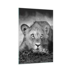 Obraz na skle - Královské štěně - 70x100 cm