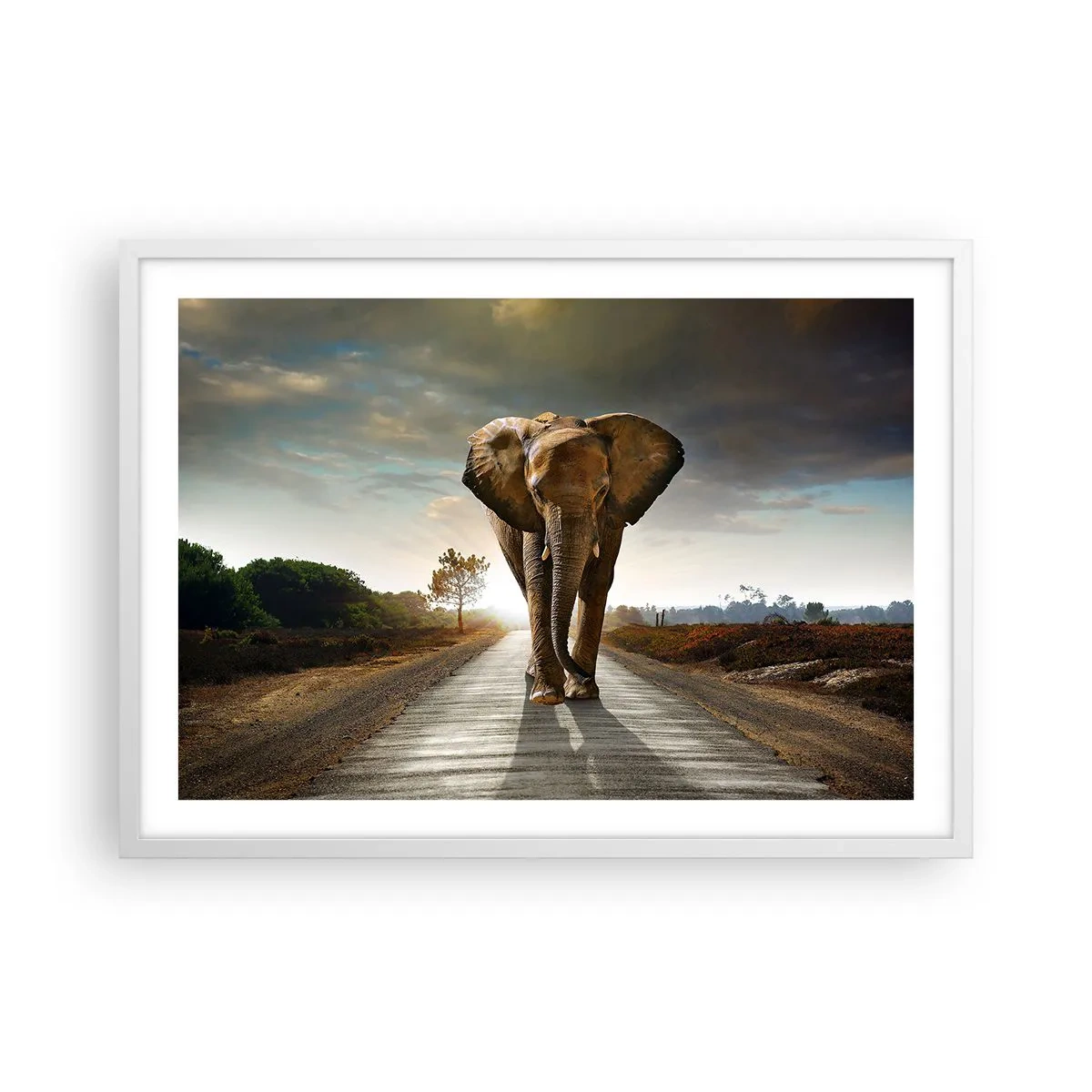 Plakát v bílém rámu - A vůbec ne ve skladu porcelánu - 70x50 cm