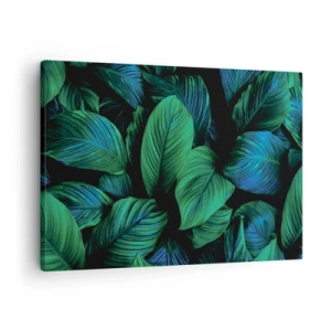 Obraz na plátně - Zelené listy v minimalistickém stylu - 70x50cm - V zeleném davu - Moderní nástěnná dekorace do obývacího pokoje a ložnice ARTTOR