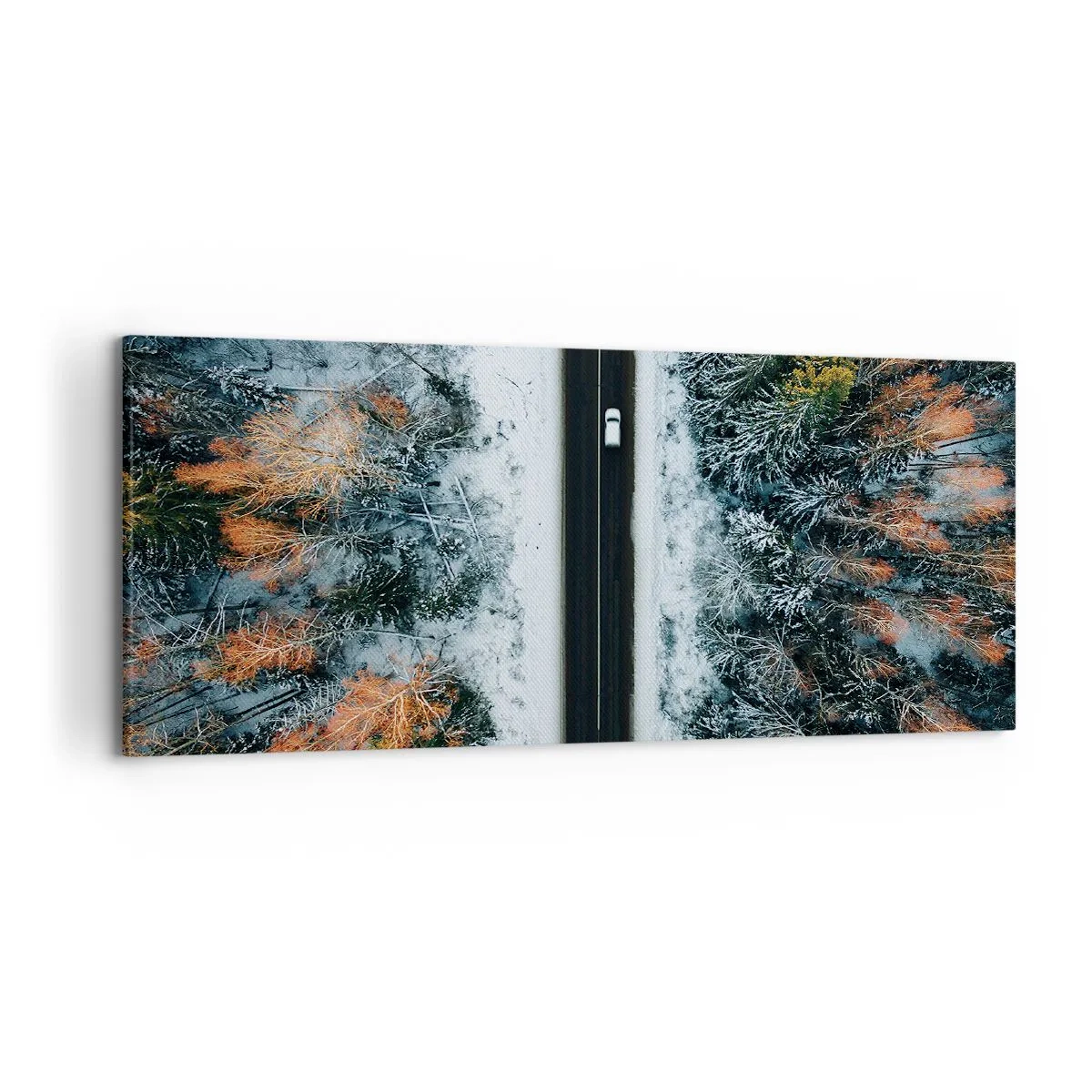 Obraz na plátně - Přes zimní les - 120x50 cm