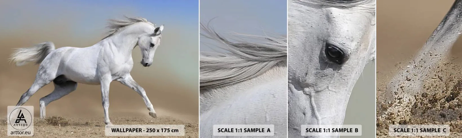 Fototapeta Vzorek Standard Eco - Nejkrásnější arabská pohádka - Kůň, Zvířata, Cval - 100x30 cm