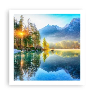 Plakát - Majestát a sladkost - 60x60 cm