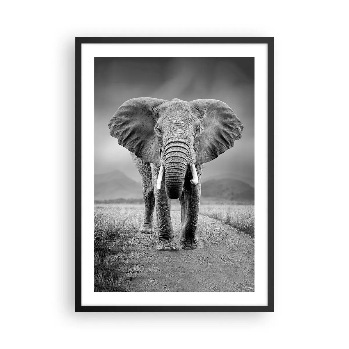 Plakát v černém rámu - Slon proti africké krajině v černé a bílé - 50x70cm - Hostitel vítá - Moderní nástěnná dekorace do obývacího pokoje a ložnice ARTTOR