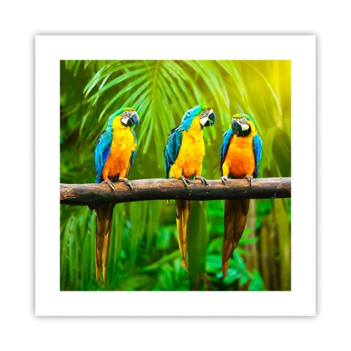 Plakát - Slyšela jsi, že ona…? - 40x40 cm