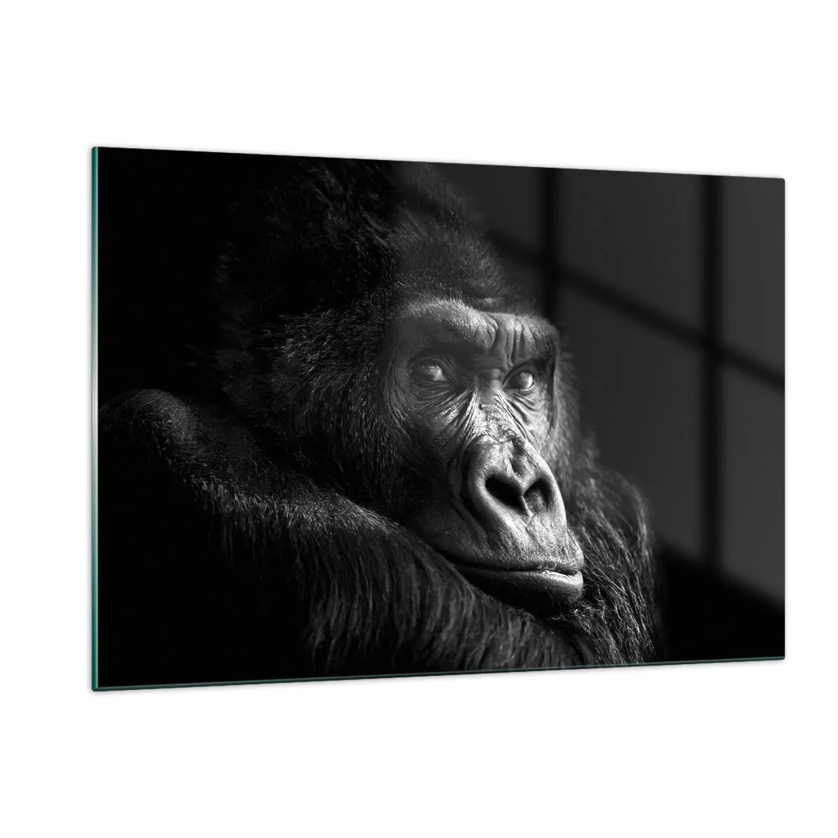 Obraz na skle - Na co tak koukáš? - 120x80 cm