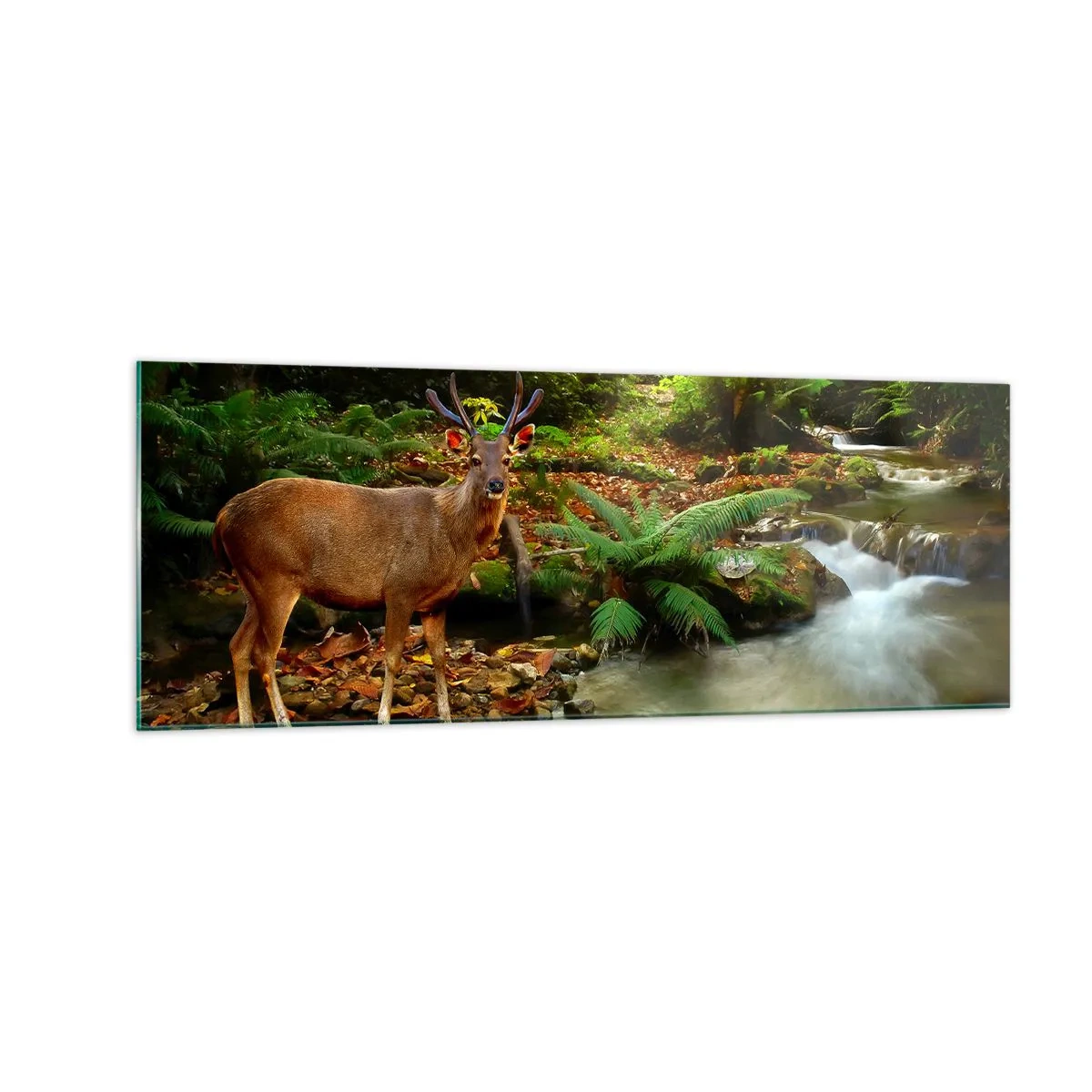 Obraz na skle - Vítám v mém světě - 140x50 cm