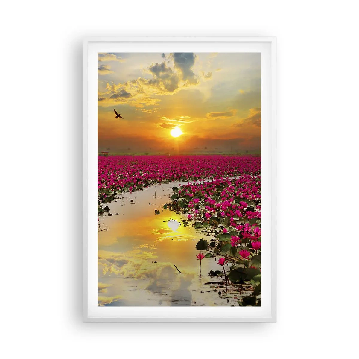 Plakát v bílém rámu - Tajemný život jezera - 61x91 cm