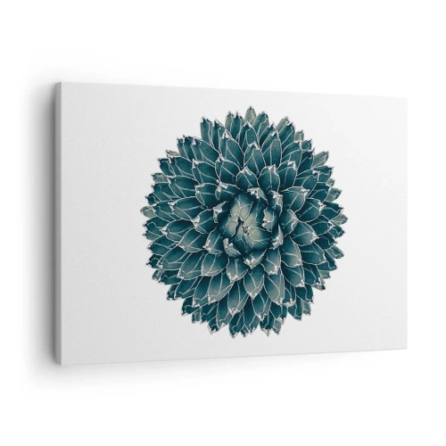 Obraz na plátně - Symetrická sukulentní rostlina na bílém pozadí - 70x50cm - Hvězda pouště - Moderní nástěnná dekorace do obývacího pokoje a ložnice ARTTOR
