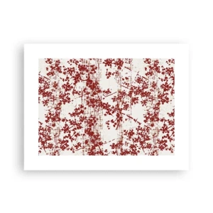 Plakát - Staré kaliko - 40x30 cm