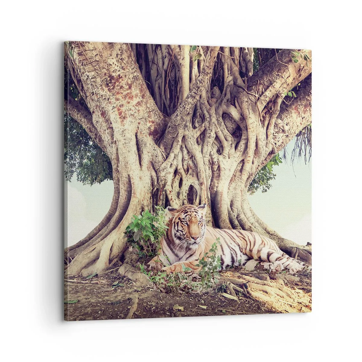 Obraz na plátně - Pohled z knihy Mojžíšovy - 60x60 cm