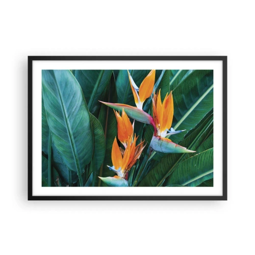 Plakát v černém rámu - Je to květina, nebo pták? - 70x50 cm