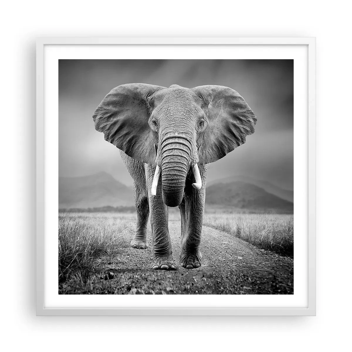 Plakát v bílém rámu - Hostitel vítá - 60x60 cm